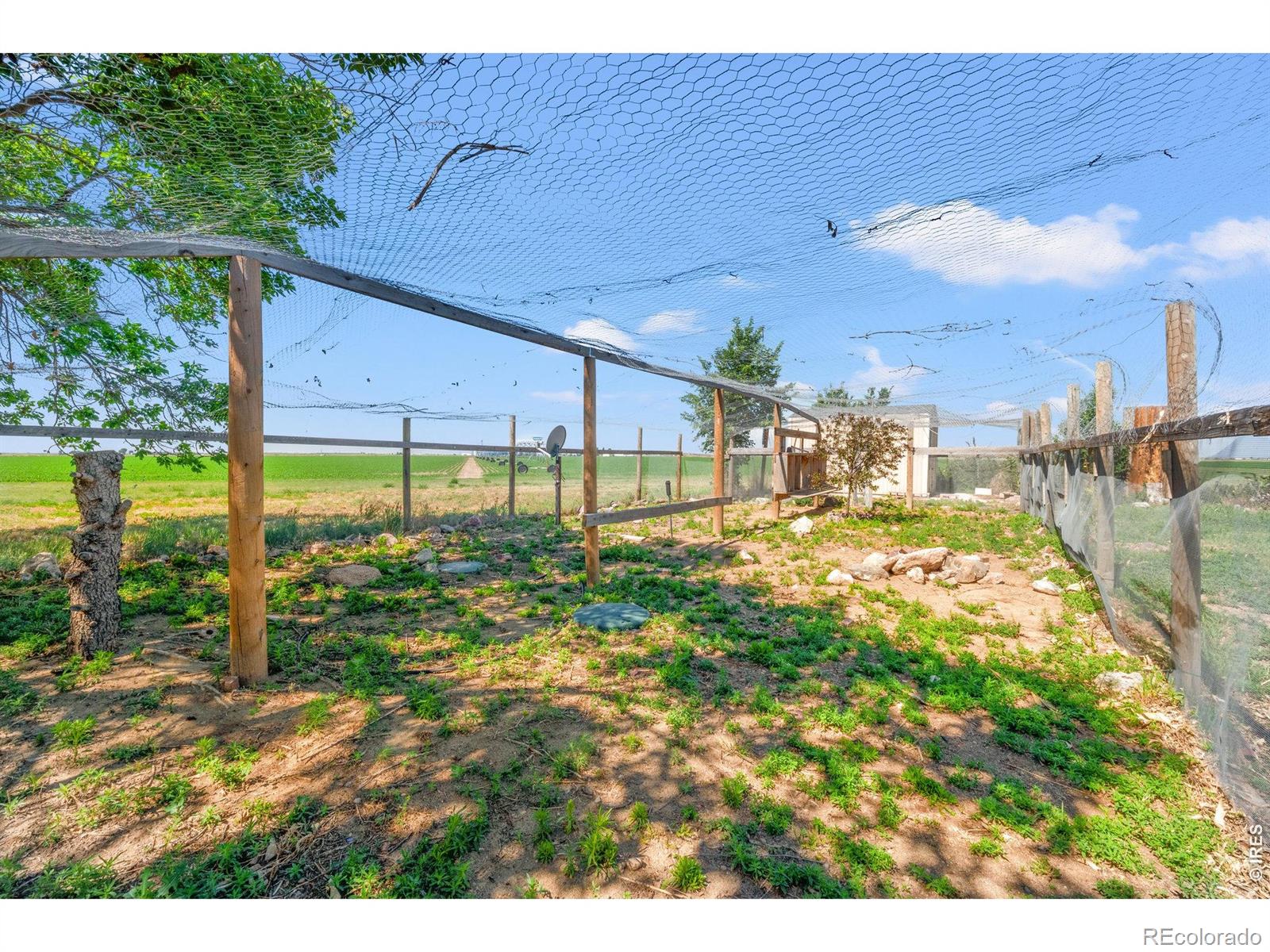 MLS Image #12 for 19487  county road 6 ,wiggins, Colorado