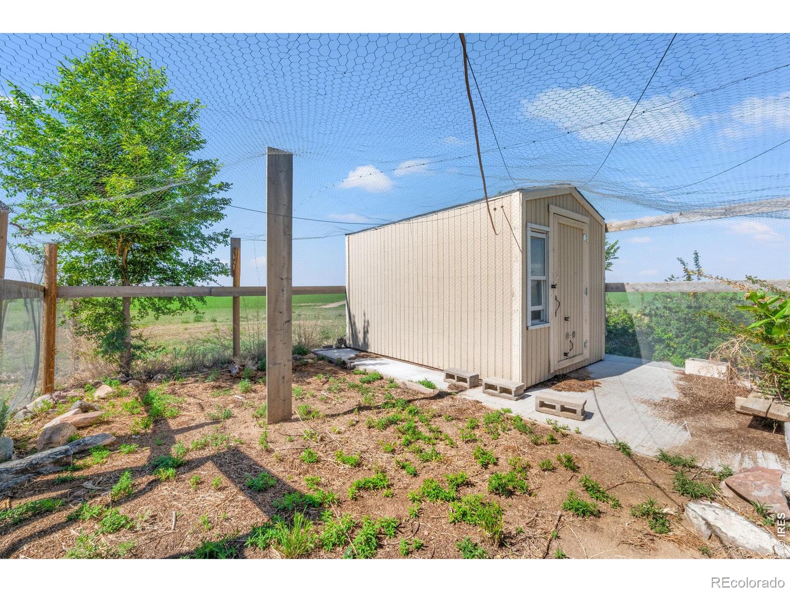 MLS Image #14 for 19487  county road 6 ,wiggins, Colorado