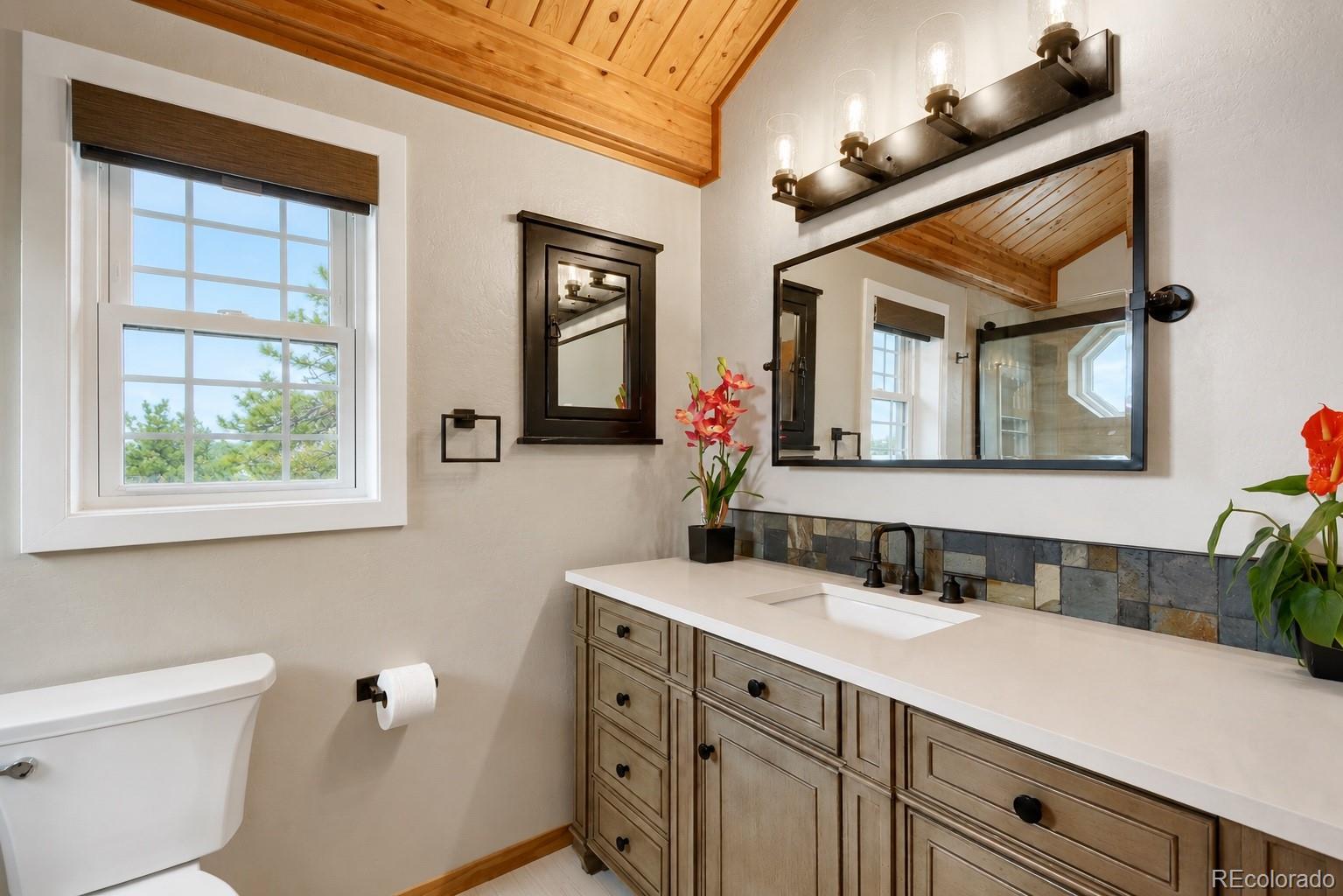 MLS Image #14 for 54  guardian peak drive,livermore, Colorado