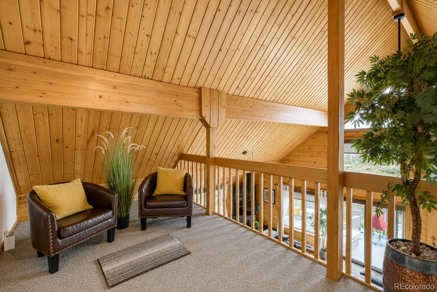 MLS Image #16 for 54  guardian peak drive,livermore, Colorado