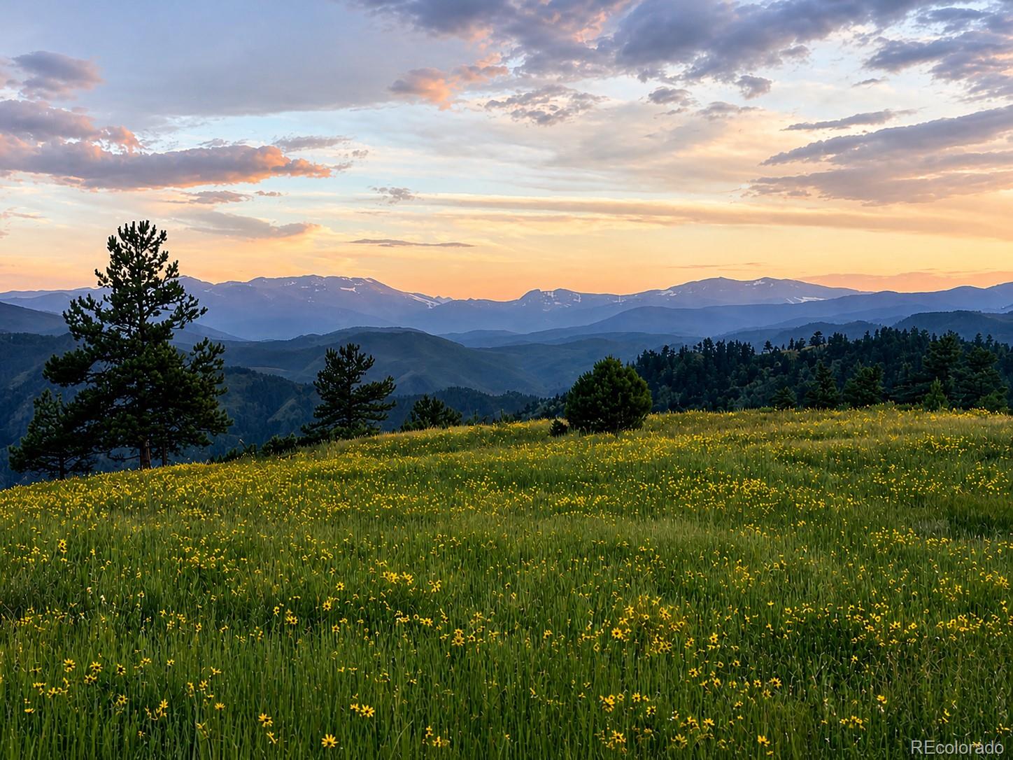 MLS Image #2 for 54  guardian peak drive,livermore, Colorado