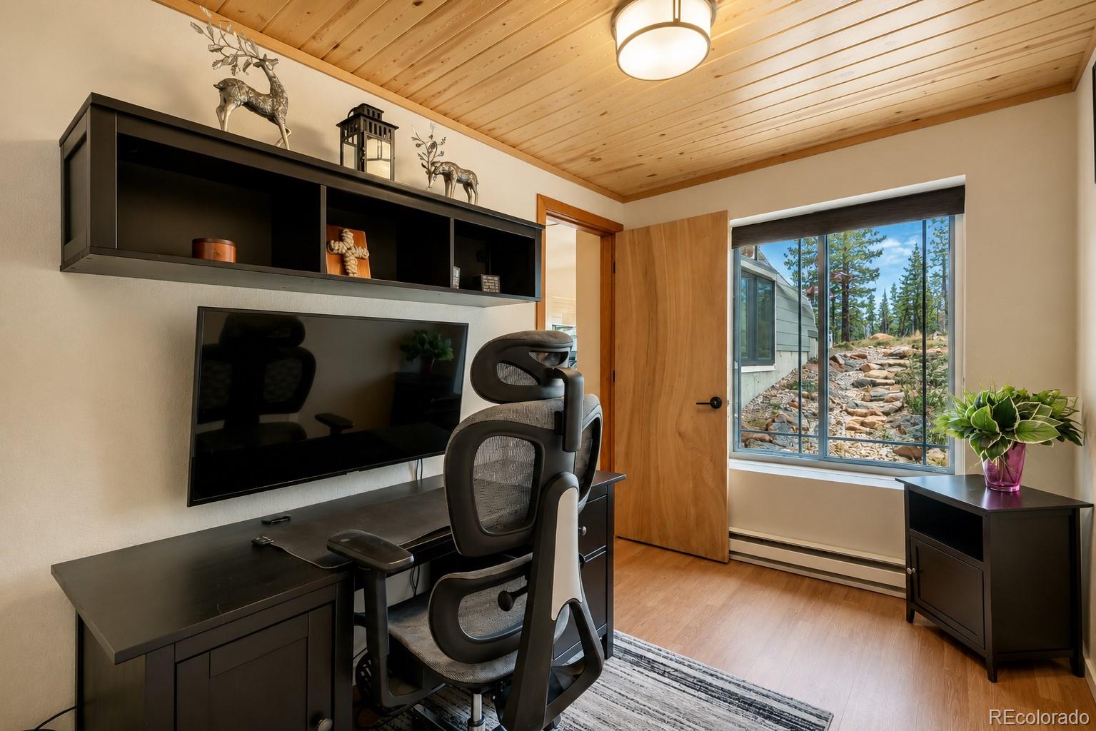 MLS Image #23 for 54  guardian peak drive,livermore, Colorado
