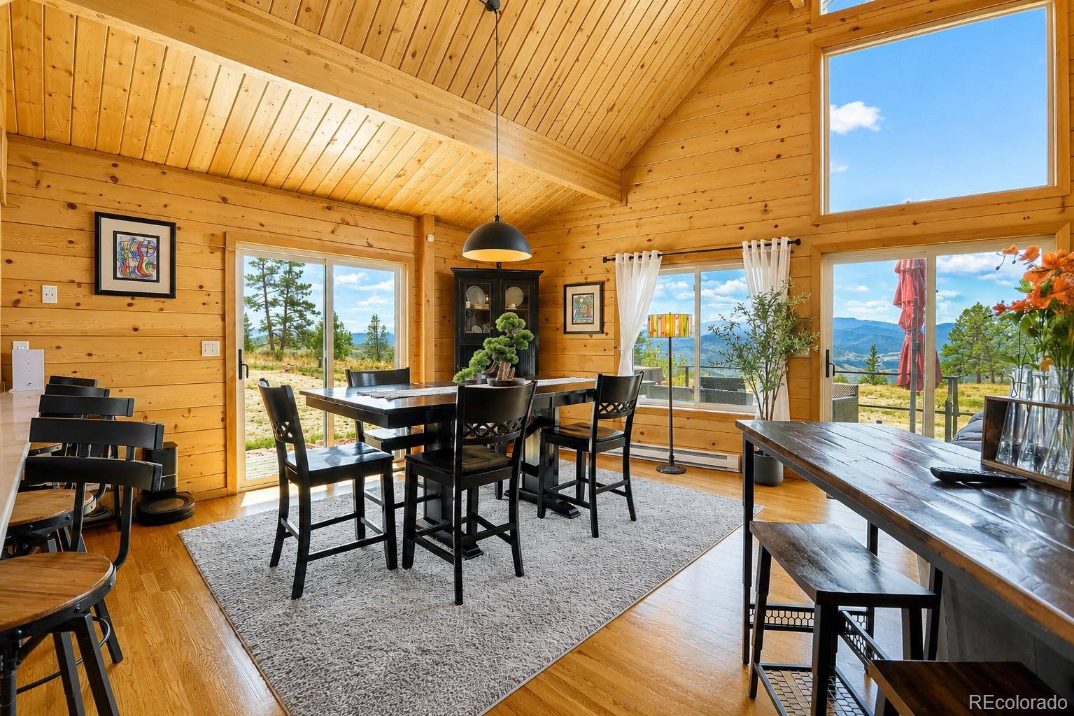 MLS Image #6 for 54  guardian peak drive,livermore, Colorado