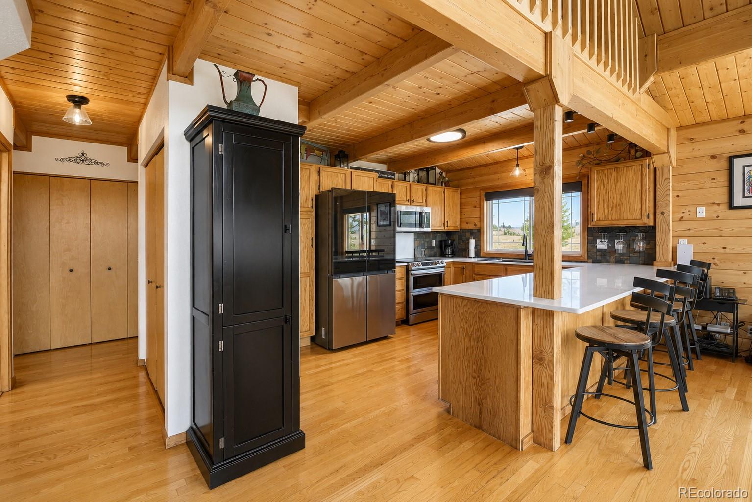 MLS Image #8 for 54  guardian peak drive,livermore, Colorado