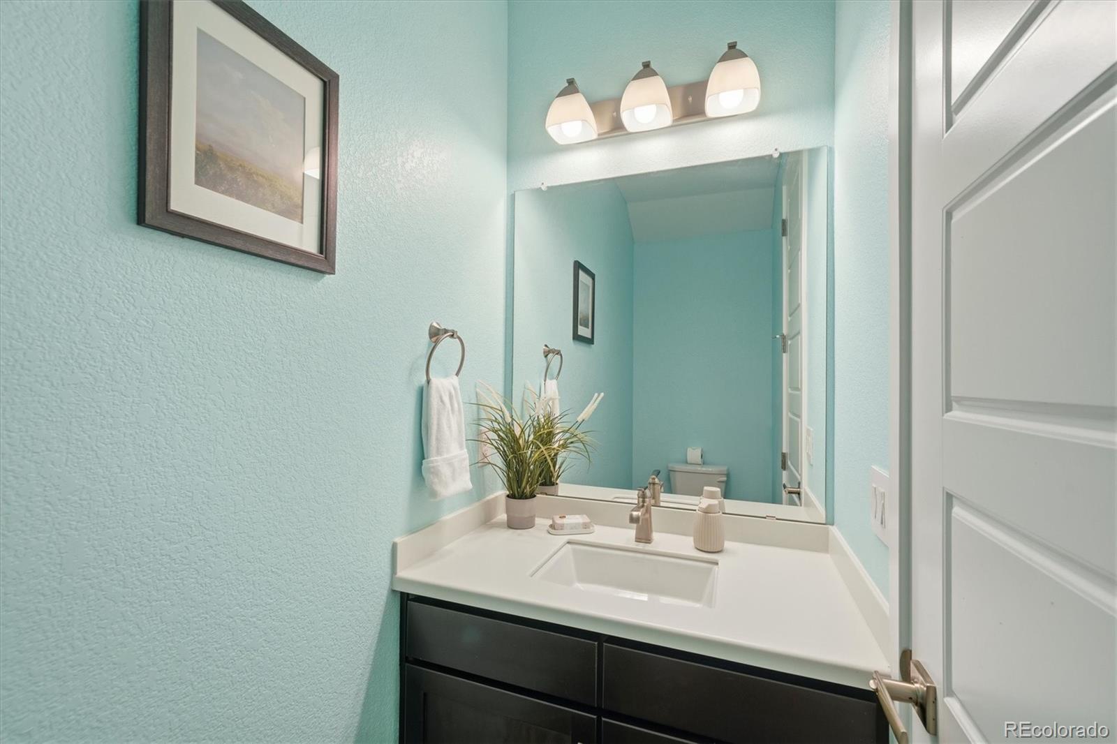 MLS Image #22 for 3462  guinea way,castle rock, Colorado