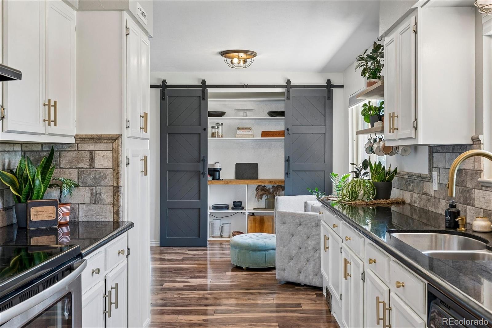 MLS Image #8 for 391  burgess drive,castle rock, Colorado