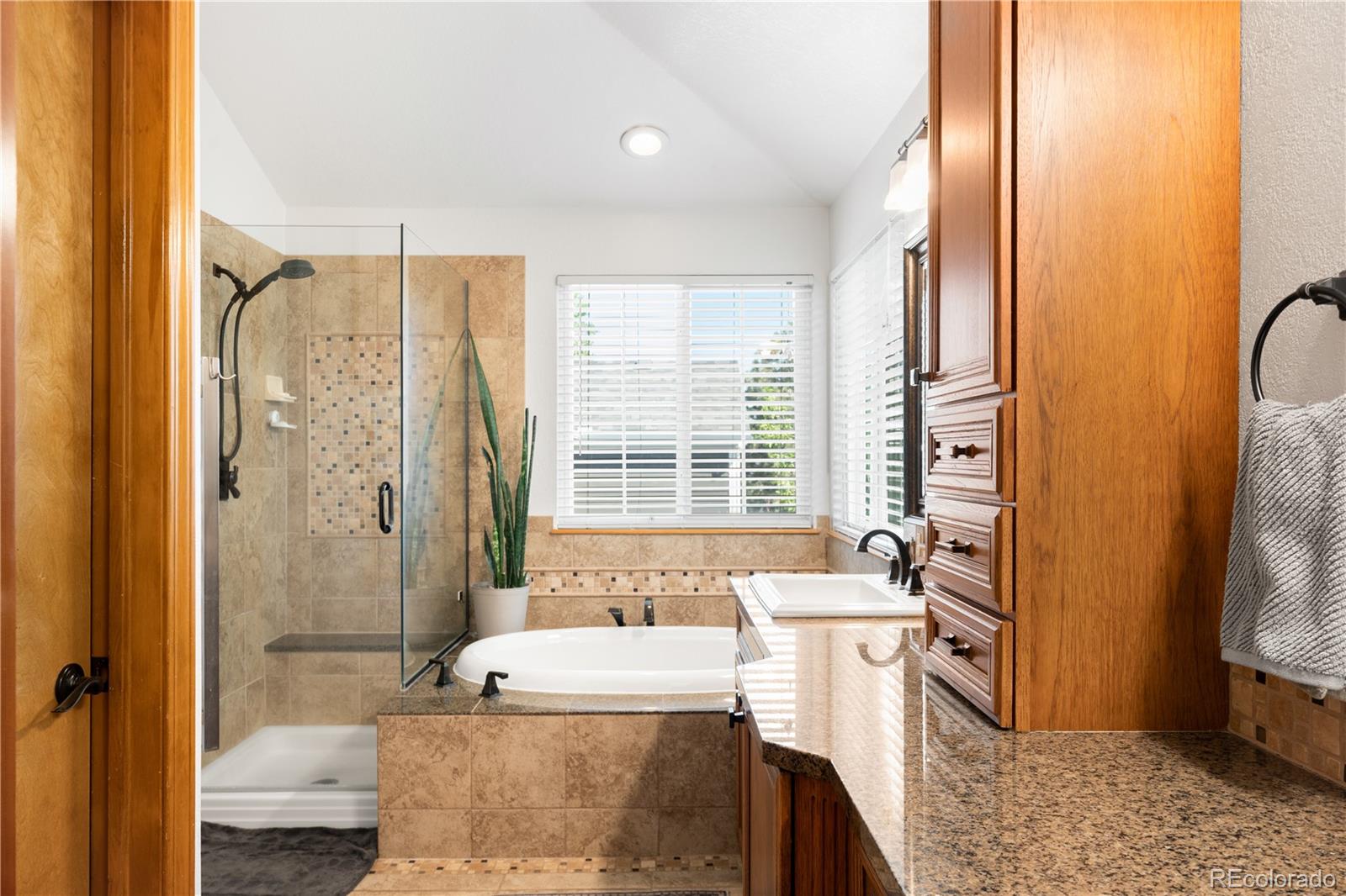 MLS Image #10 for 10269  lodestone way,parker, Colorado