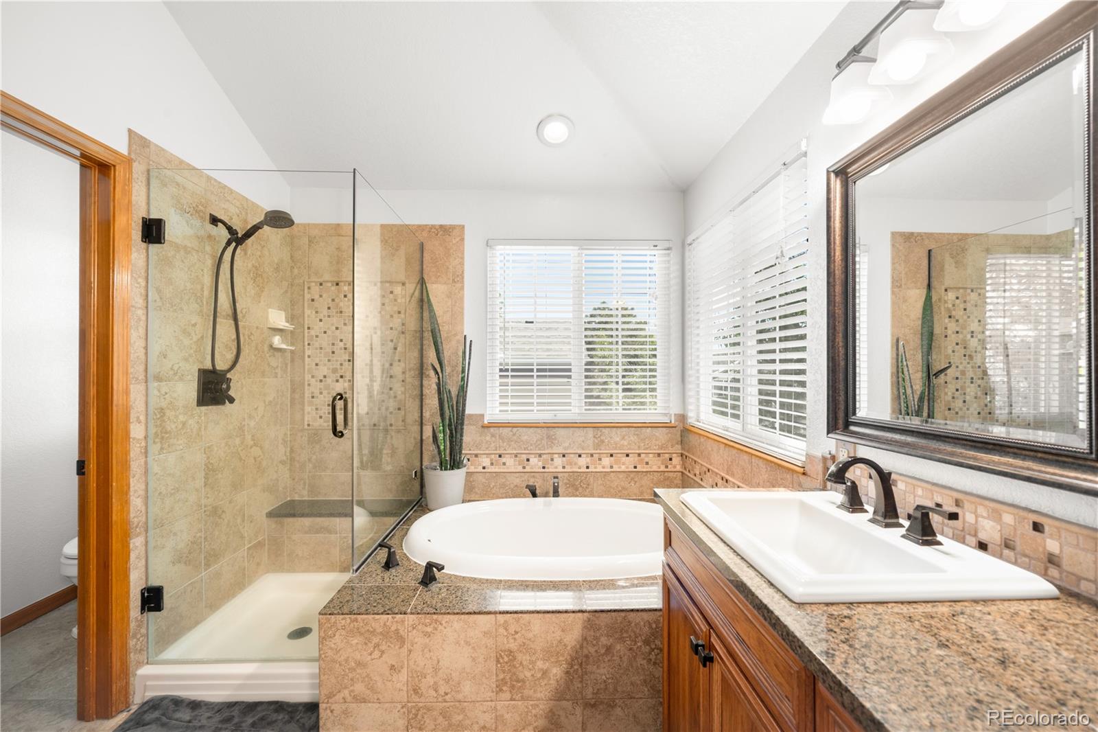 MLS Image #22 for 10269  lodestone way,parker, Colorado