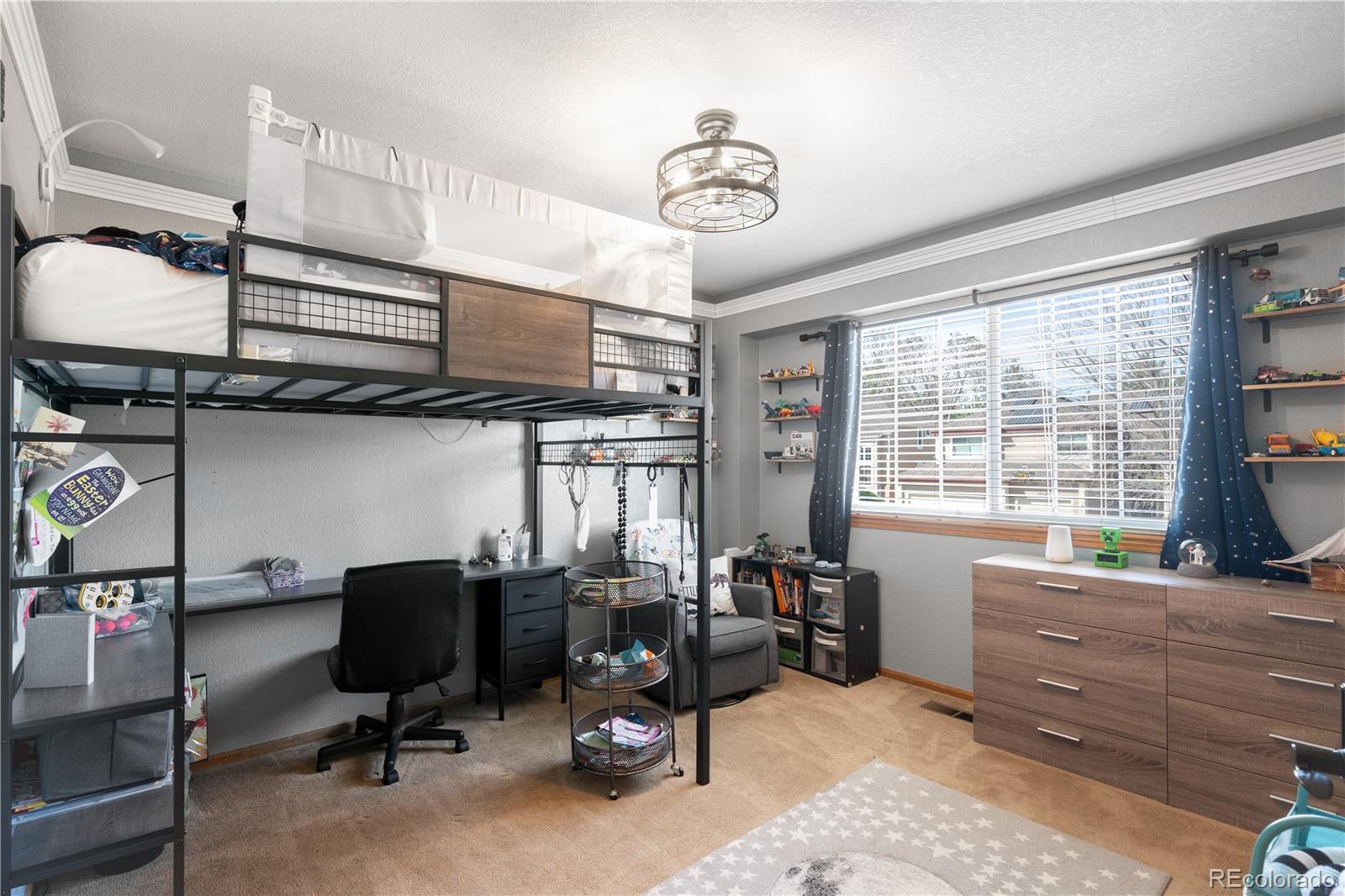 MLS Image #31 for 10269  lodestone way,parker, Colorado