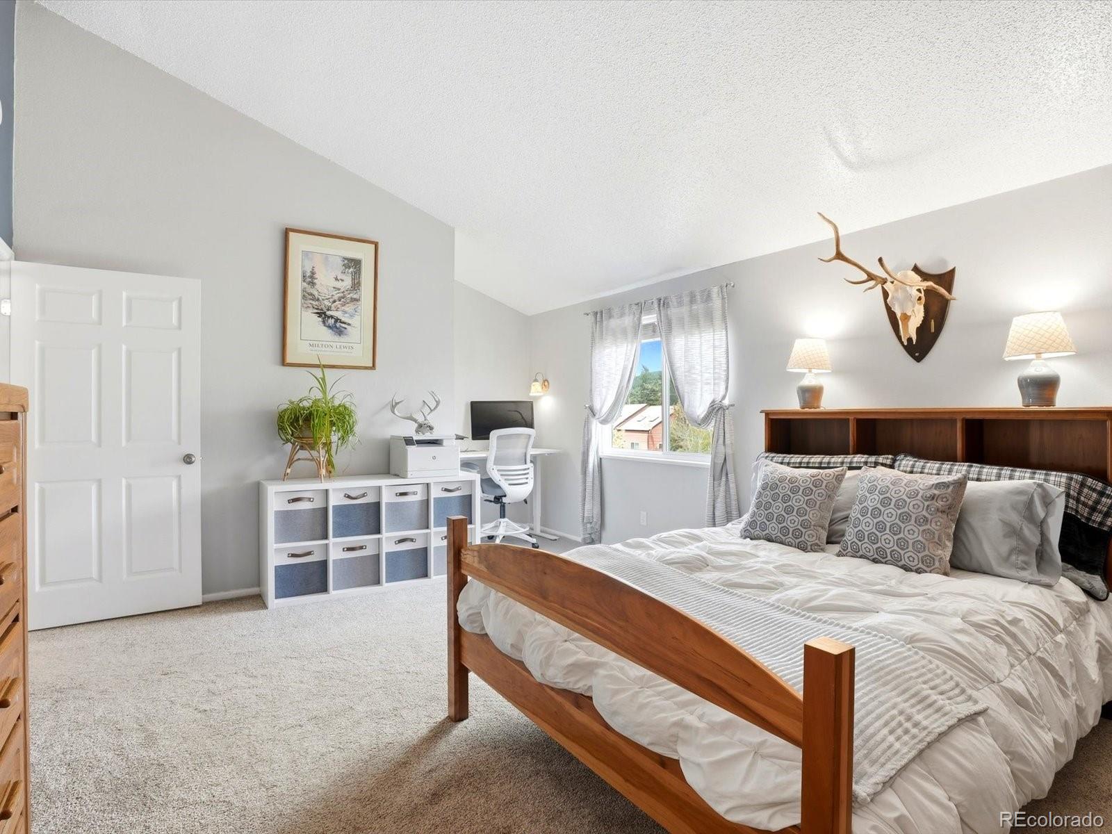 MLS Image #3 for 26197 s end road,kittredge, Colorado
