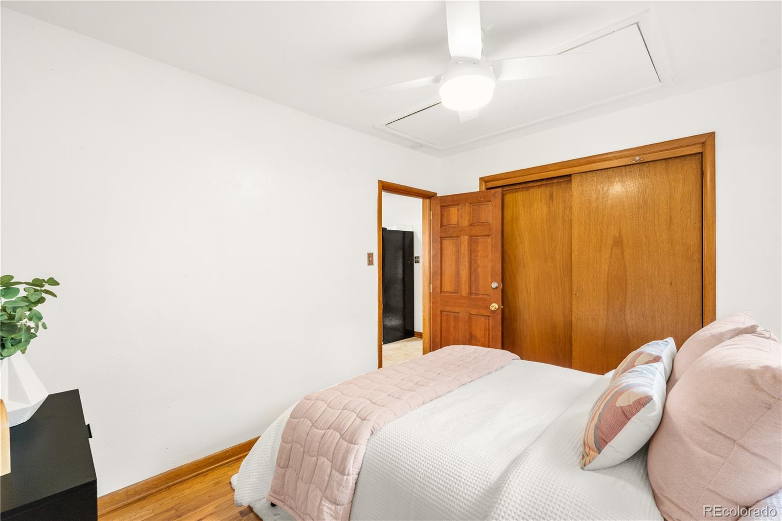 MLS Image #19 for 341 n lincoln street,denver, Colorado