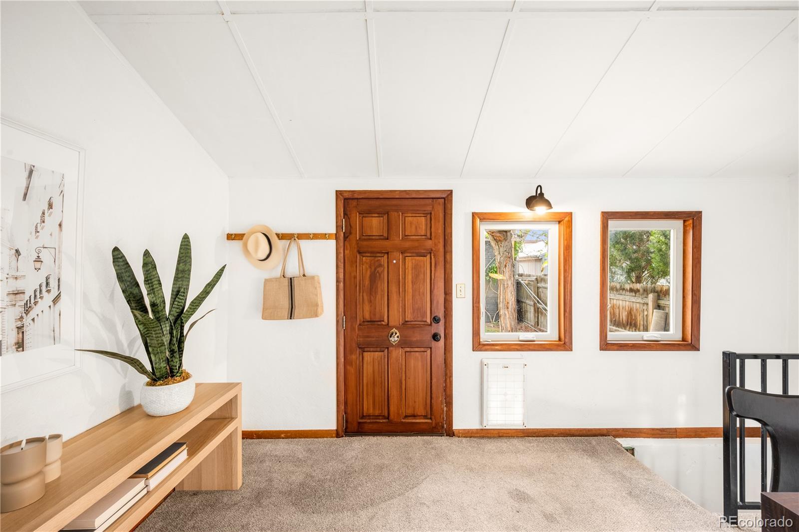 MLS Image #20 for 341 n lincoln street,denver, Colorado
