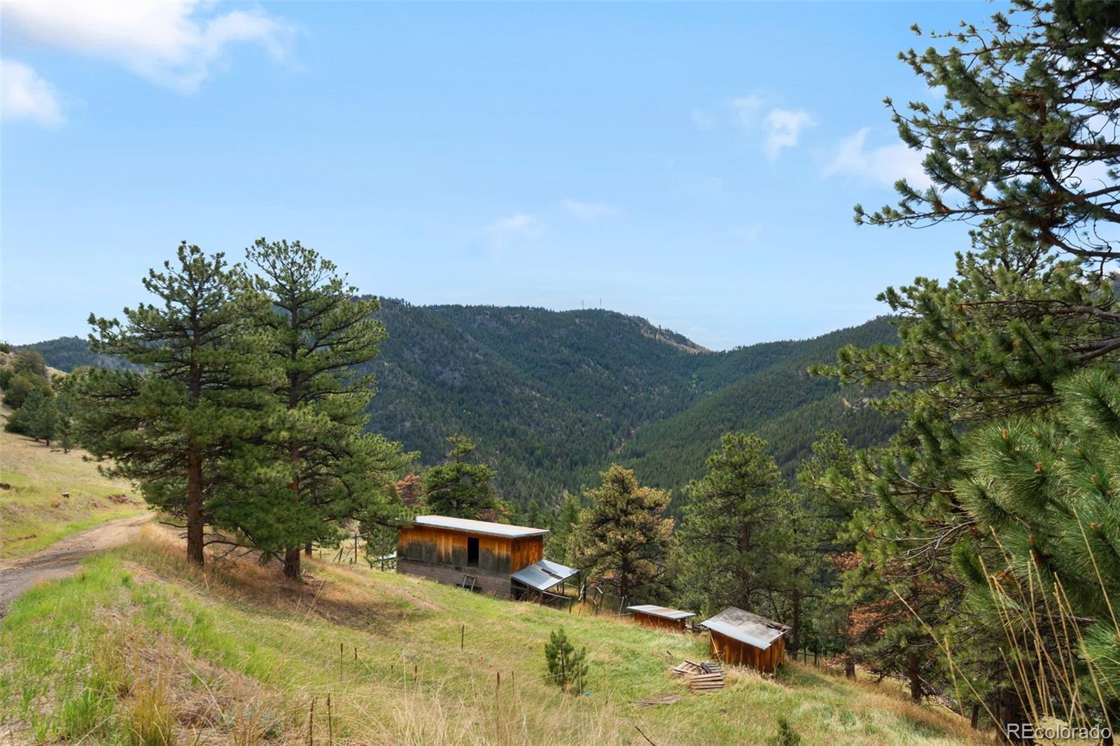 MLS Image #20 for 721  nugget hill road,jamestown, Colorado