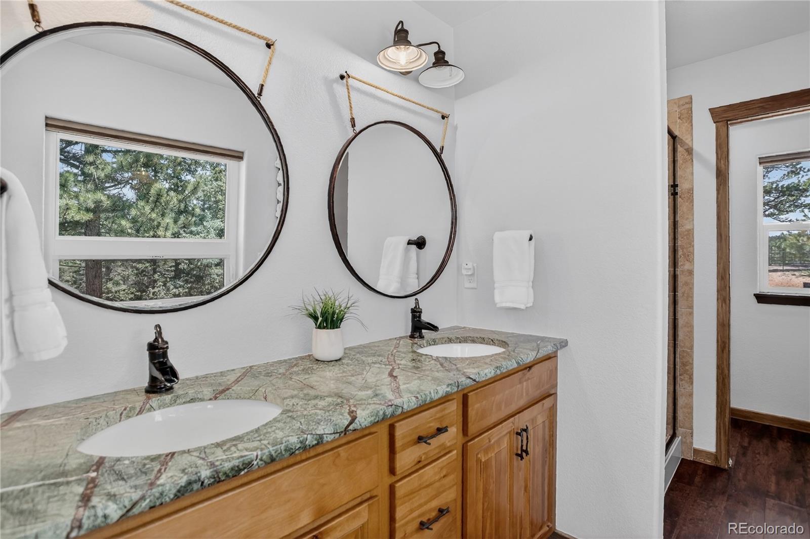 MLS Image #13 for 341  rainbow trail,divide, Colorado