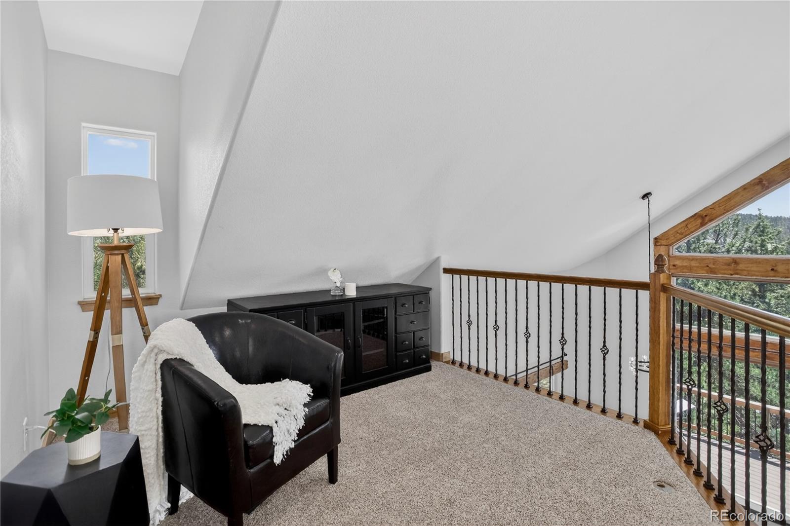 MLS Image #15 for 341  rainbow trail,divide, Colorado