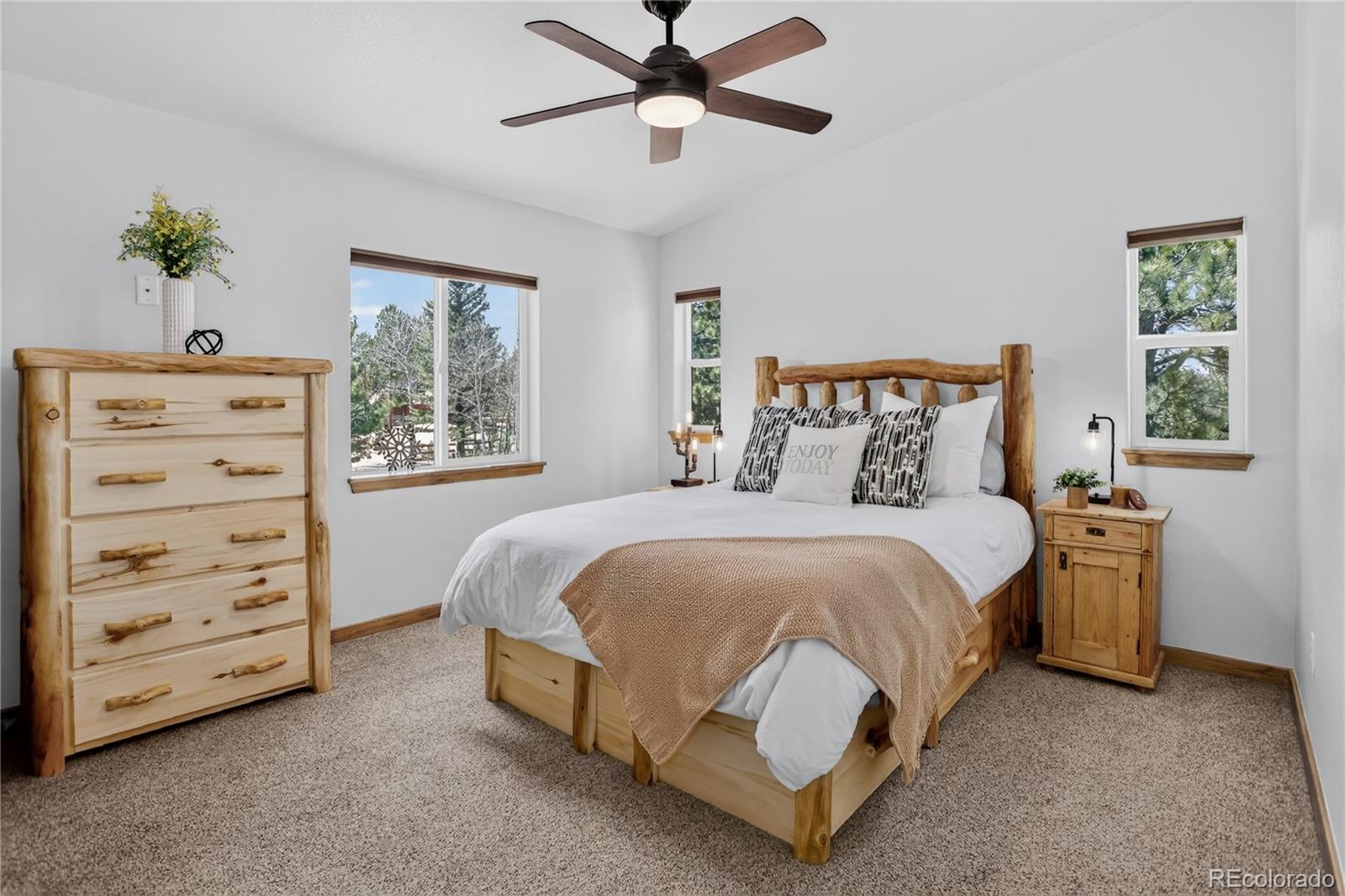 MLS Image #16 for 341  rainbow trail,divide, Colorado