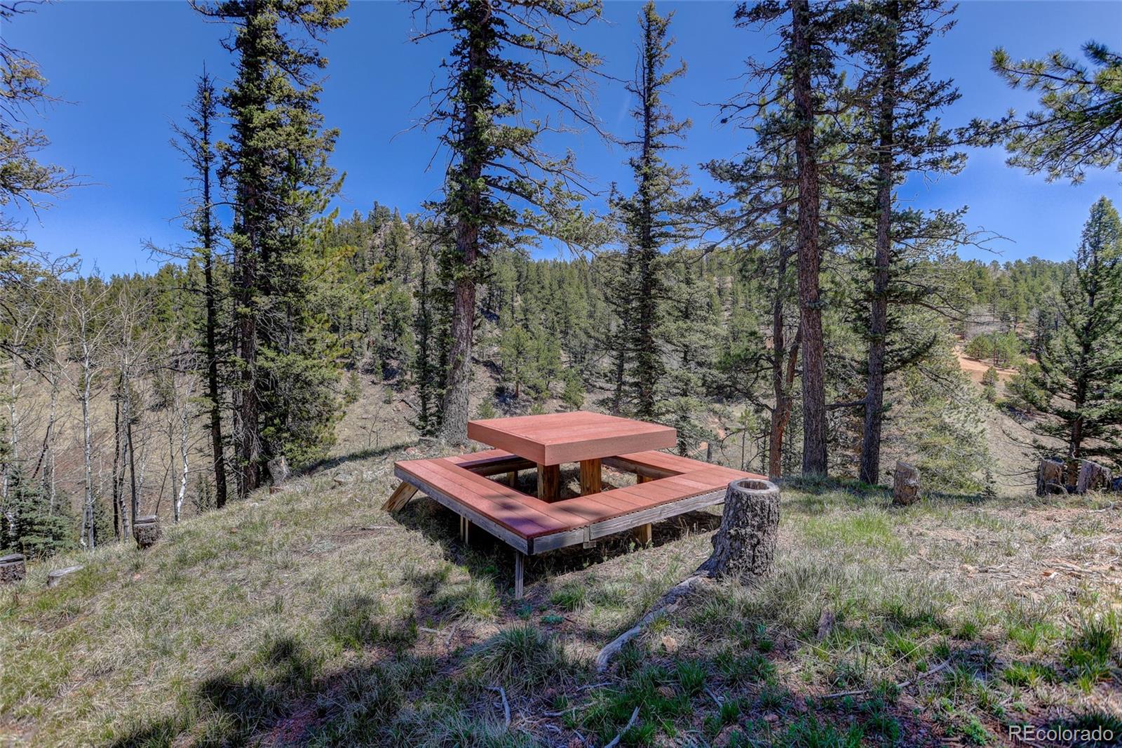 MLS Image #21 for 341  rainbow trail,divide, Colorado