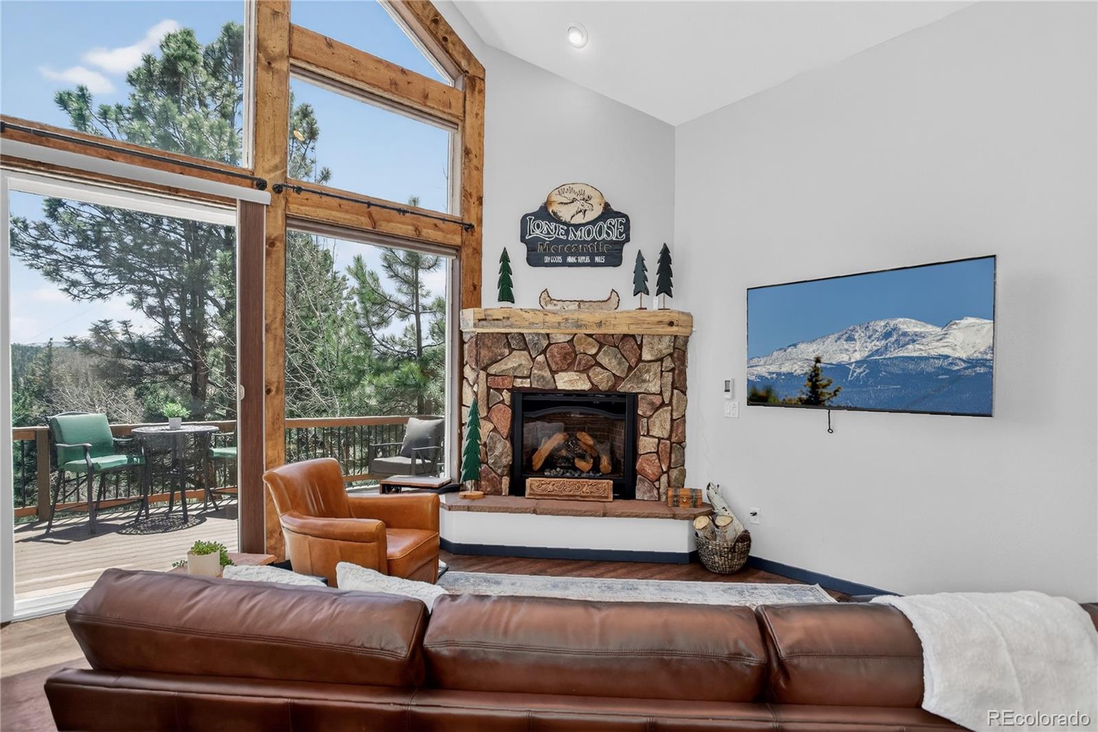 MLS Image #3 for 341  rainbow trail,divide, Colorado
