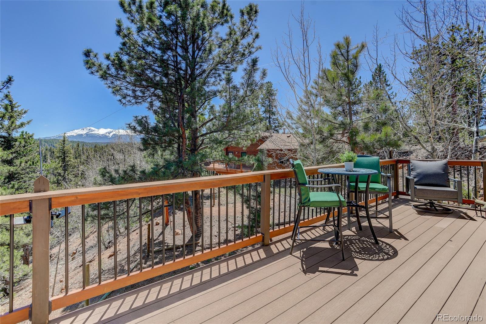MLS Image #8 for 341  rainbow trail,divide, Colorado