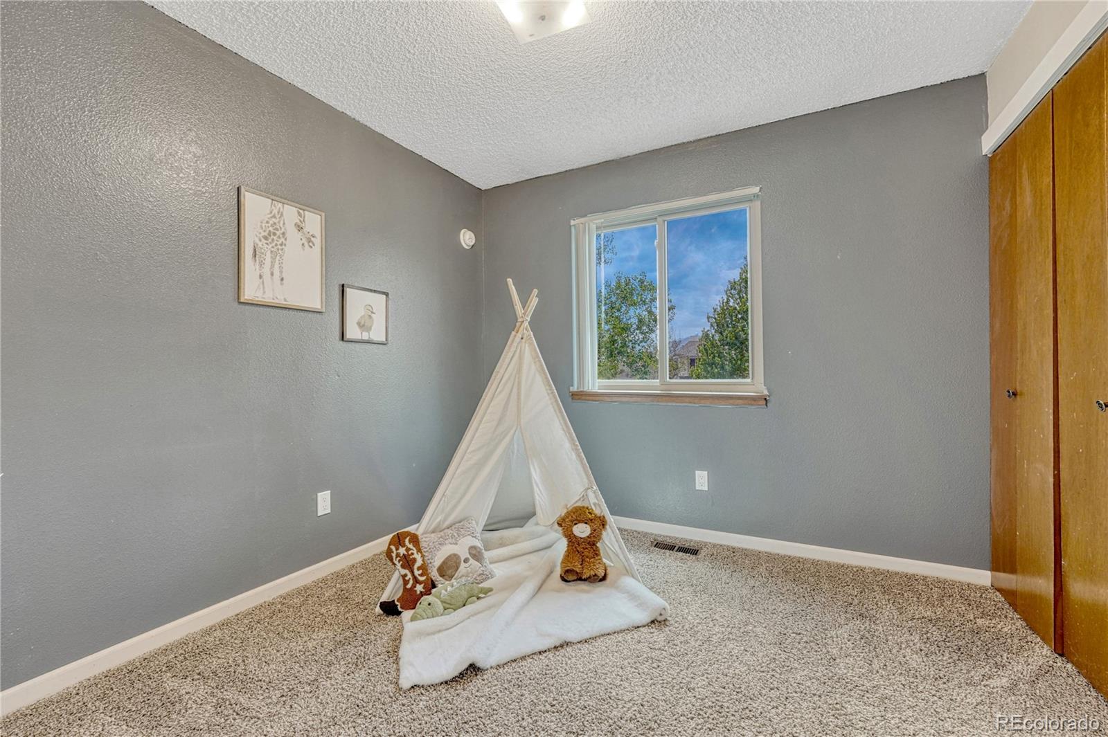 MLS Image #19 for 2265  bula drive,colorado springs, Colorado
