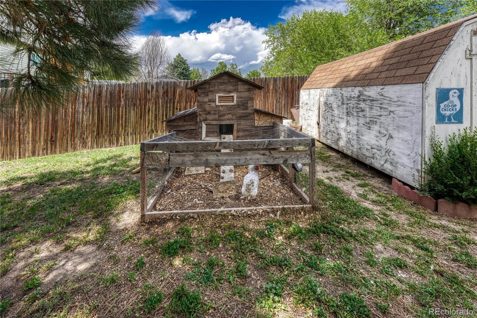 MLS Image #9 for 2265  bula drive,colorado springs, Colorado