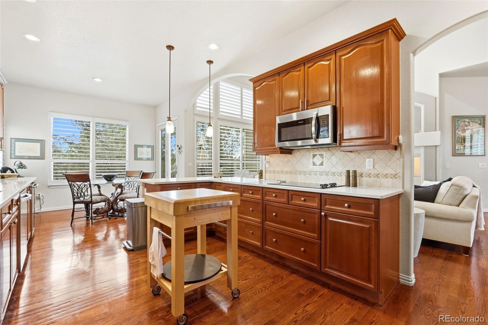 MLS Image #21 for 7111  forest ridge circle,castle pines, Colorado