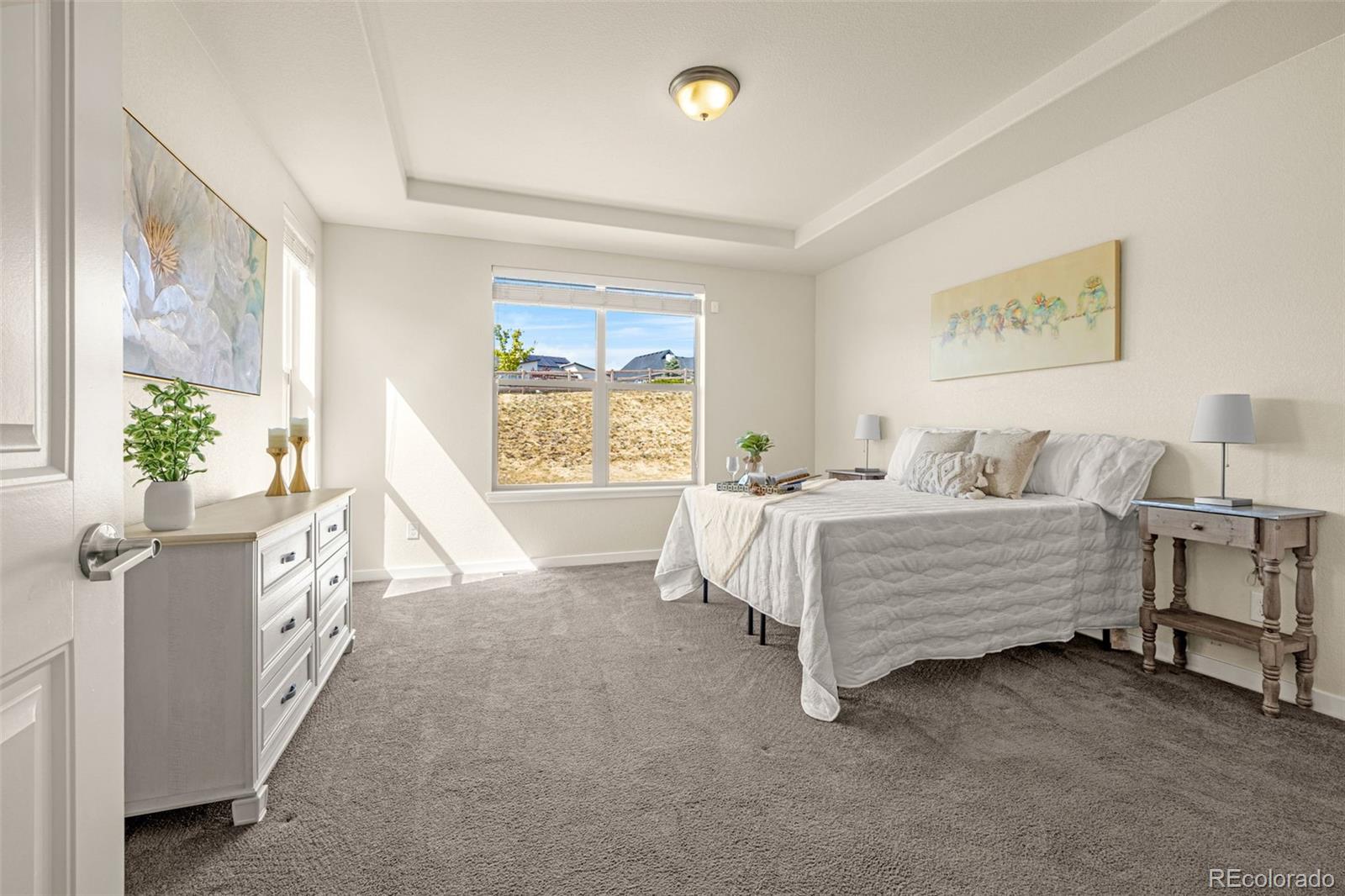 MLS Image #11 for 2052  ruffino drive ,colorado springs, Colorado