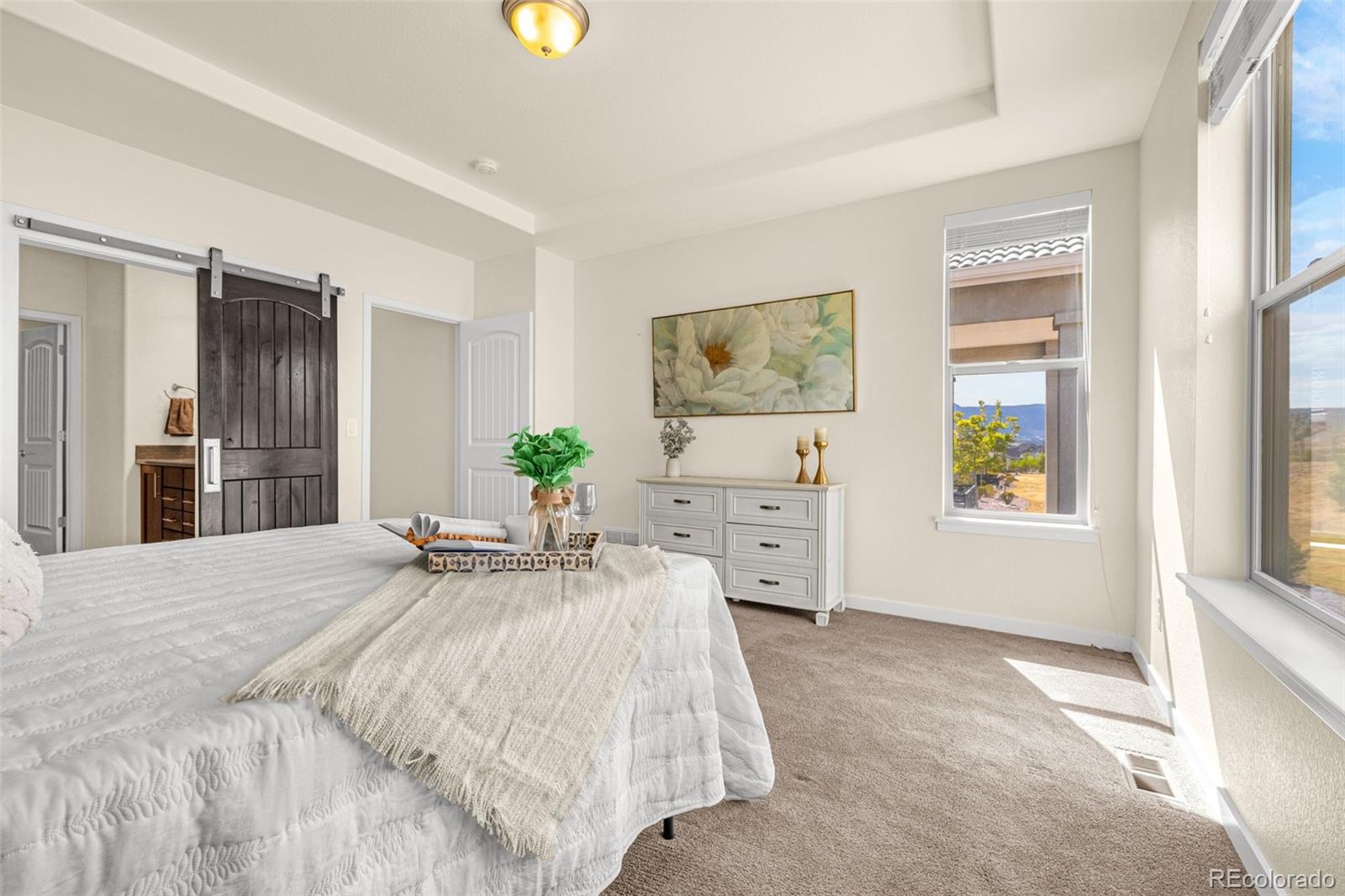 MLS Image #12 for 2052  ruffino drive ,colorado springs, Colorado