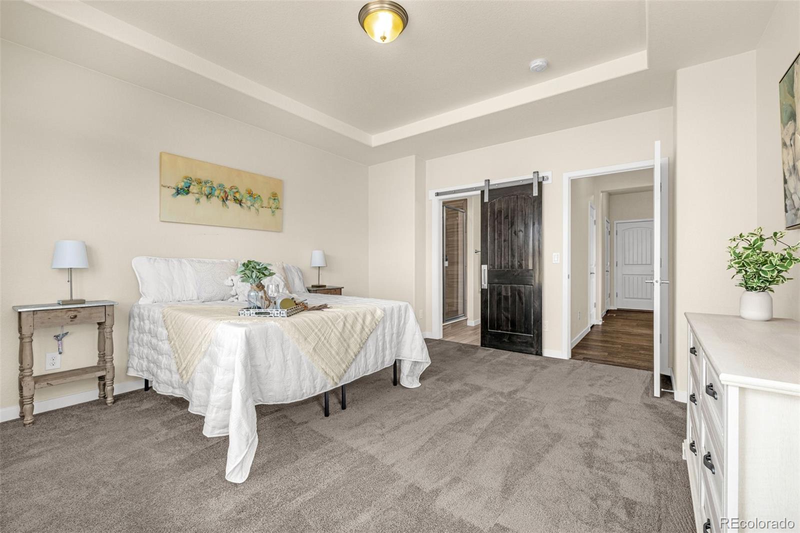 MLS Image #13 for 2052  ruffino drive ,colorado springs, Colorado