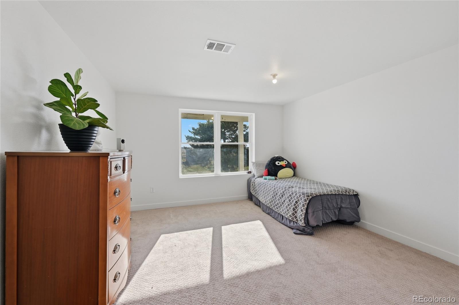 MLS Image #26 for 4153 s lookout hill street,watkins, Colorado