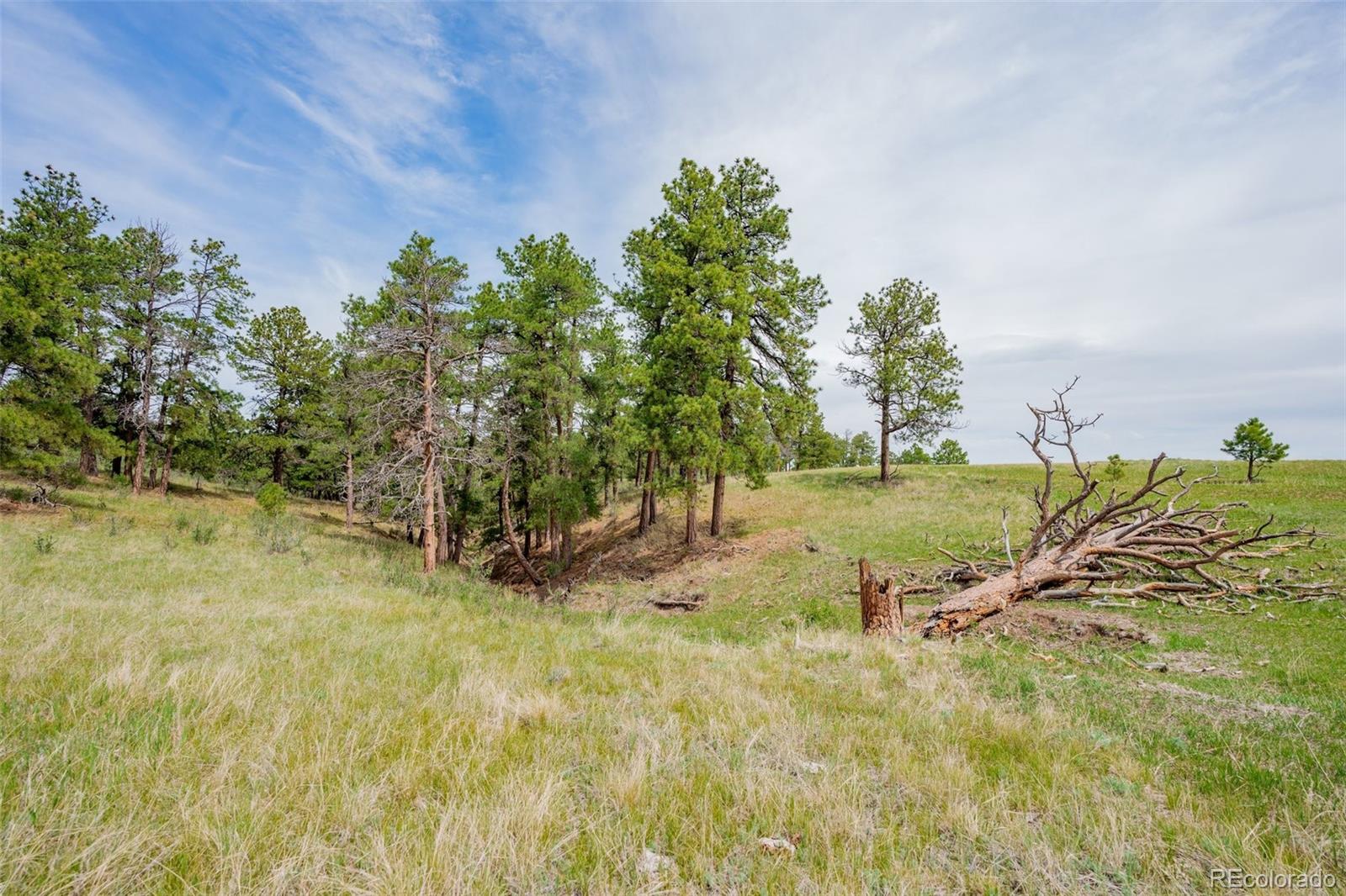 MLS Image #35 for 12400  county road 102 ,elbert, Colorado