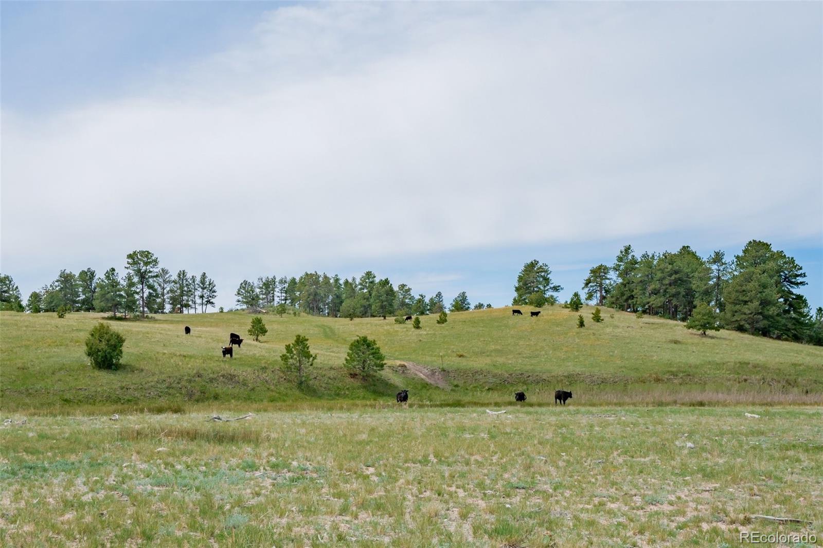 MLS Image #36 for 12400  county road 102 ,elbert, Colorado
