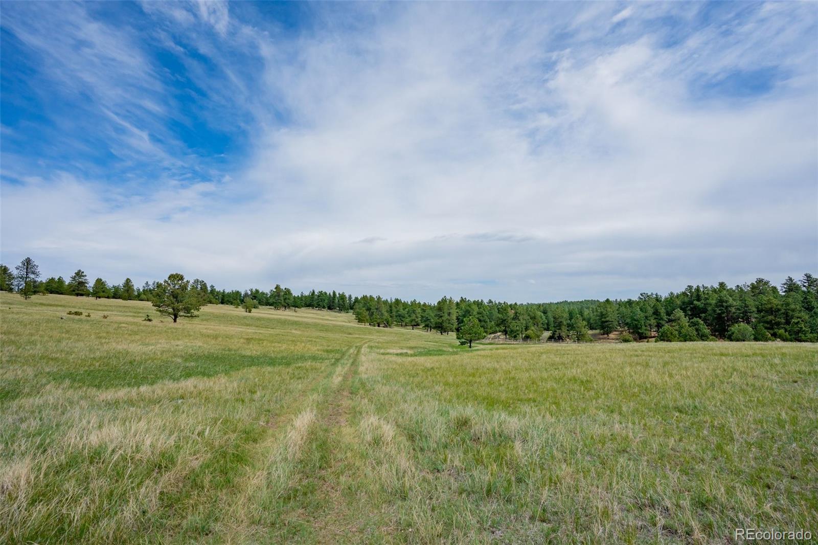 MLS Image #43 for 12400  county road 102 ,elbert, Colorado
