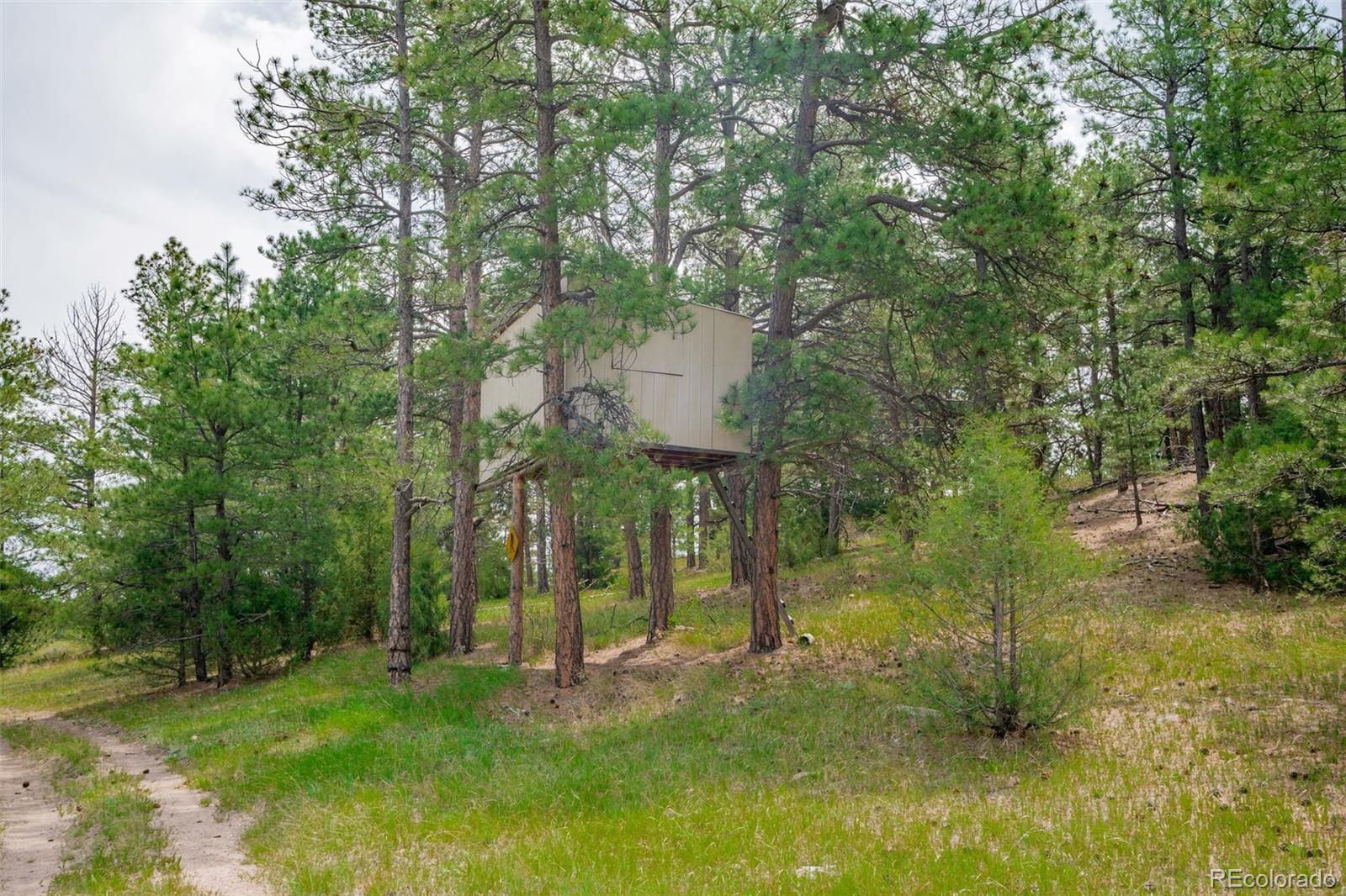 MLS Image #44 for 12400  county road 102 ,elbert, Colorado