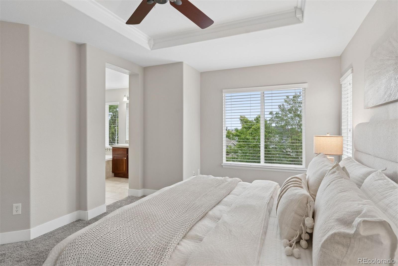 MLS Image #18 for 10863  towerbridge road,highlands ranch, Colorado