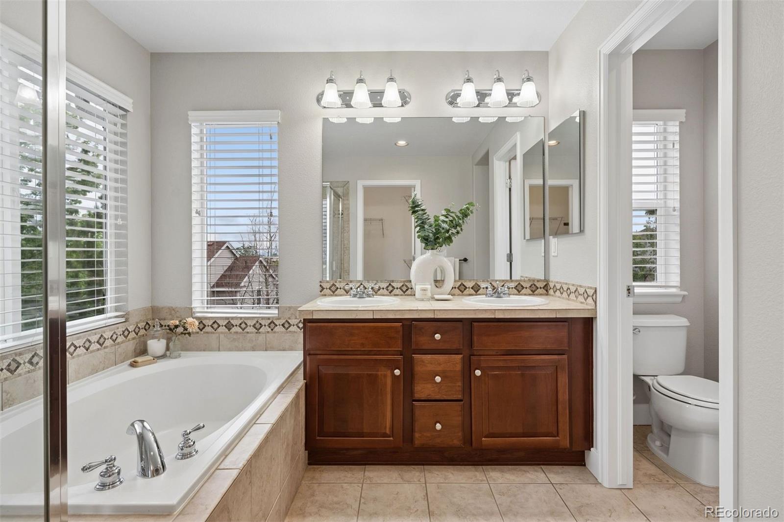 MLS Image #19 for 10863  towerbridge road,highlands ranch, Colorado