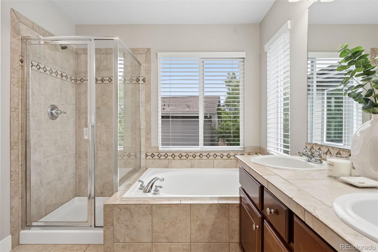 MLS Image #21 for 10863  towerbridge road,highlands ranch, Colorado