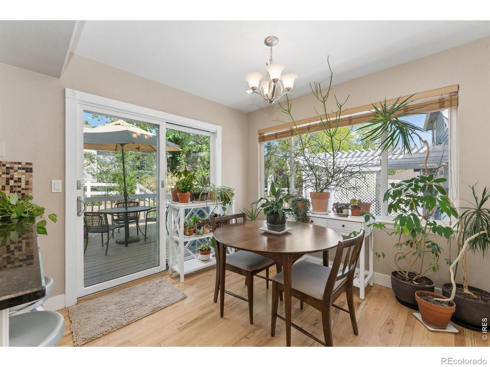 MLS Image #10 for 380  blackstone circle,loveland, Colorado