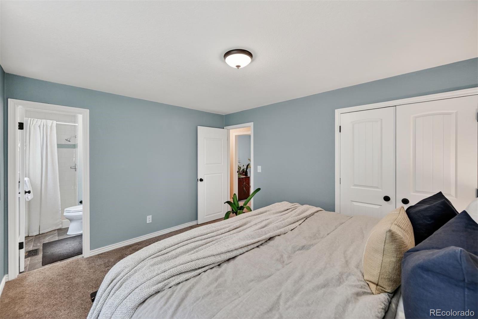 MLS Image #15 for 7356  beech court,arvada, Colorado
