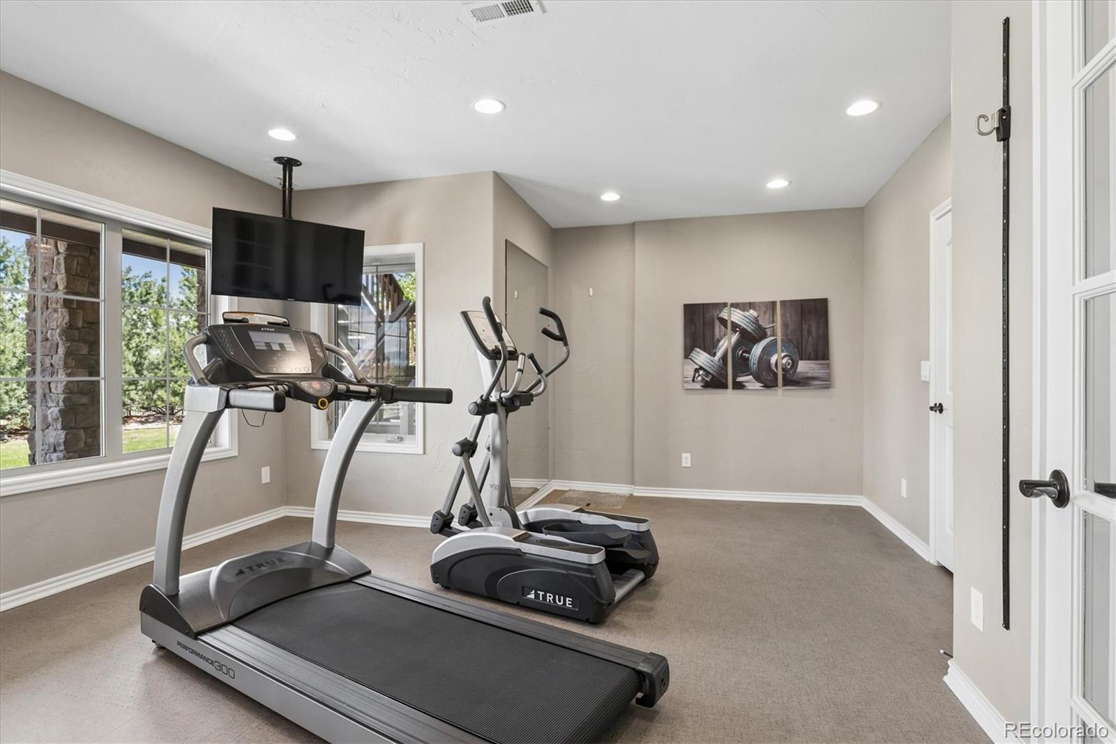 MLS Image #38 for 247  meadow view parkway,erie, Colorado