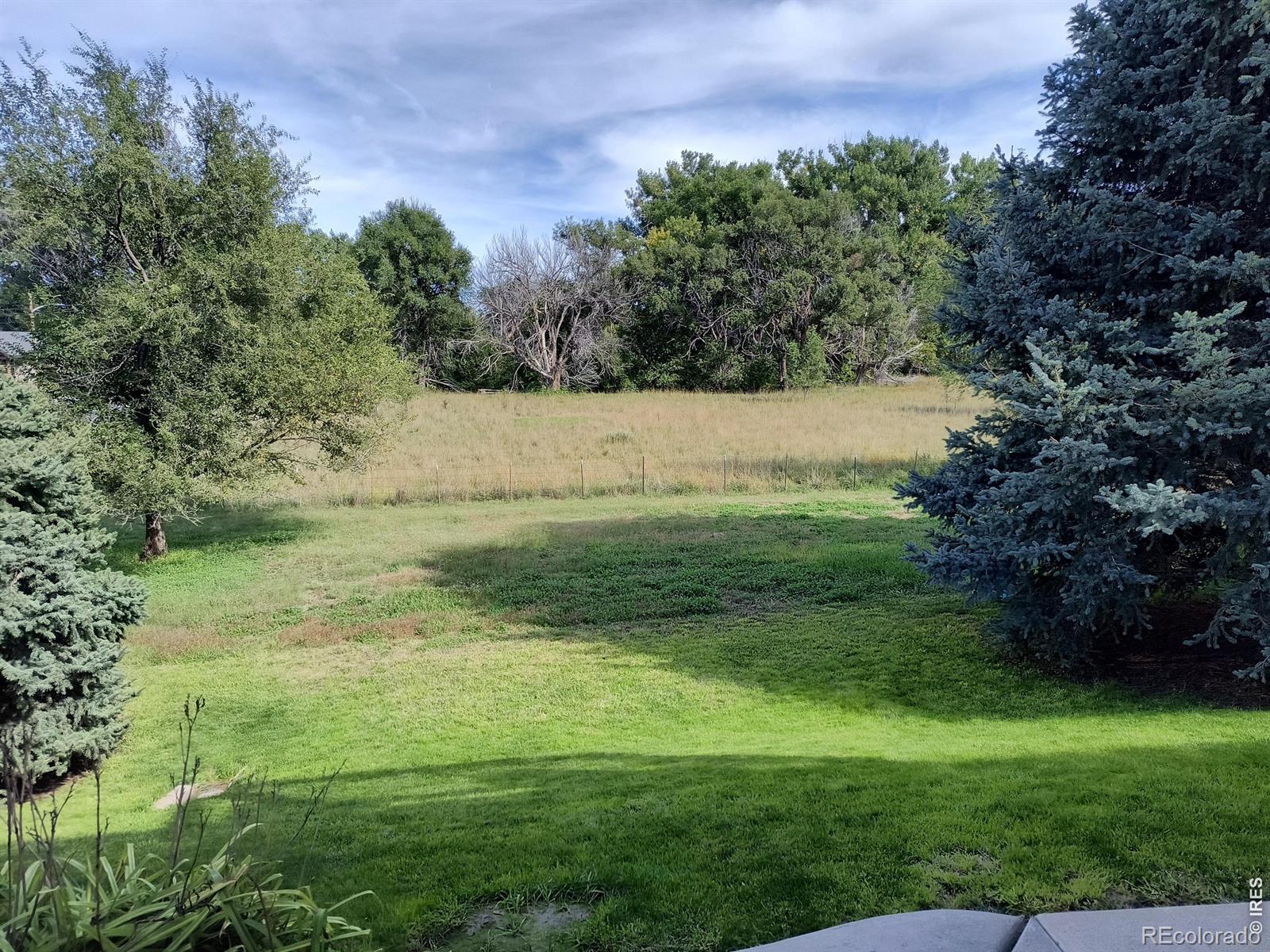 MLS Image #5 for 1230  lincoln street,wray, Colorado