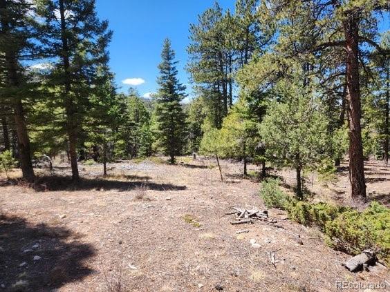 MLS Image #24 for 2613  sleger road,fort garland, Colorado