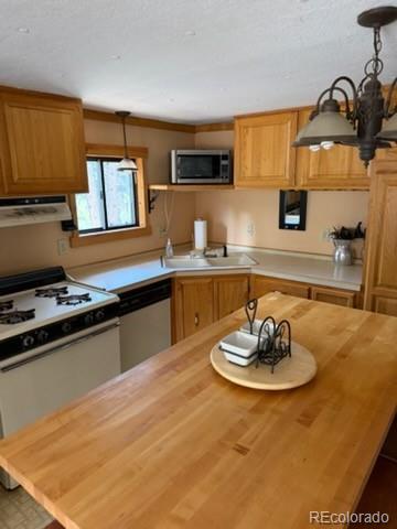MLS Image #9 for 2613  sleger road,fort garland, Colorado