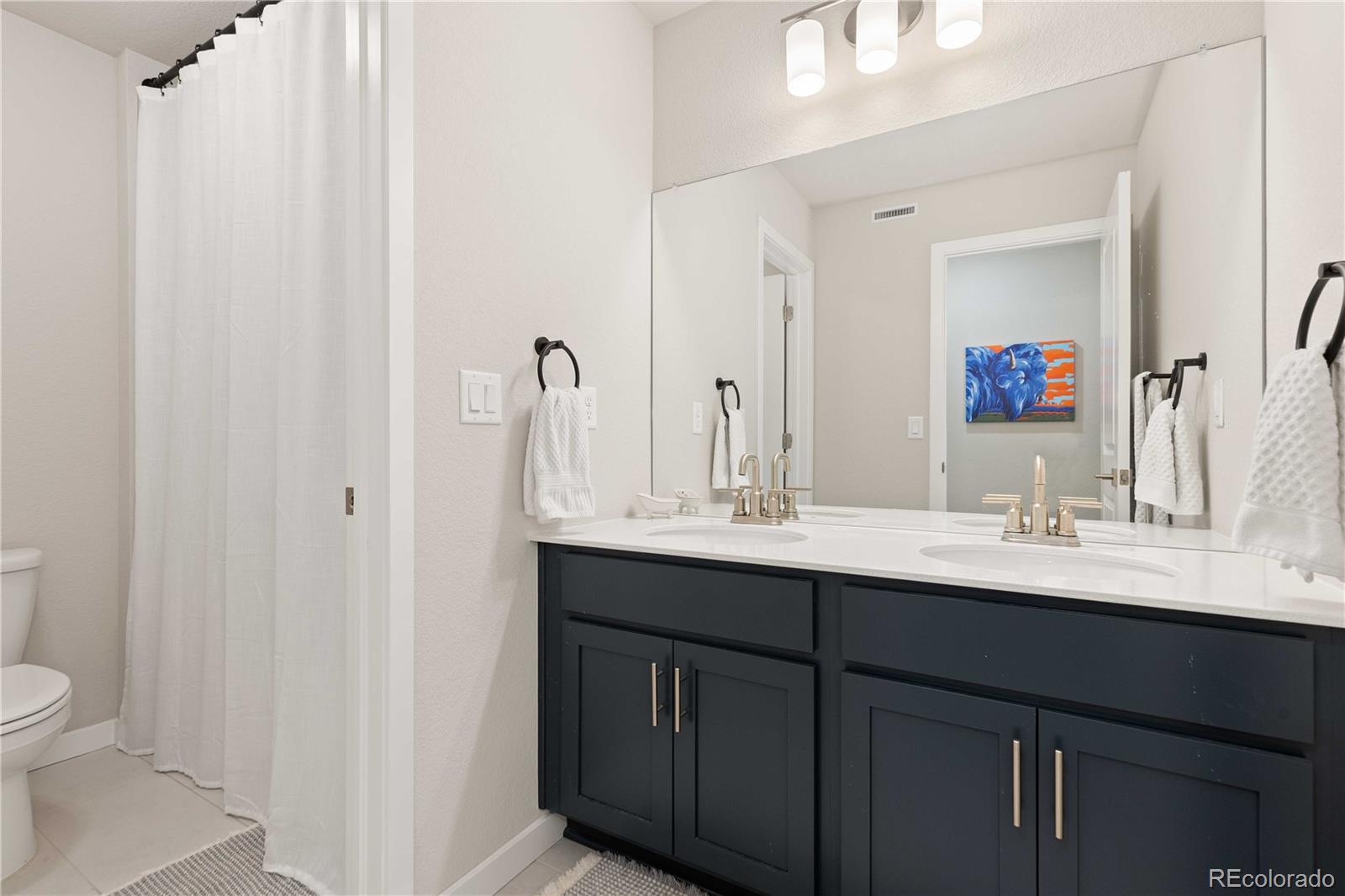 MLS Image #24 for 2836 s flat circle,longmont, Colorado
