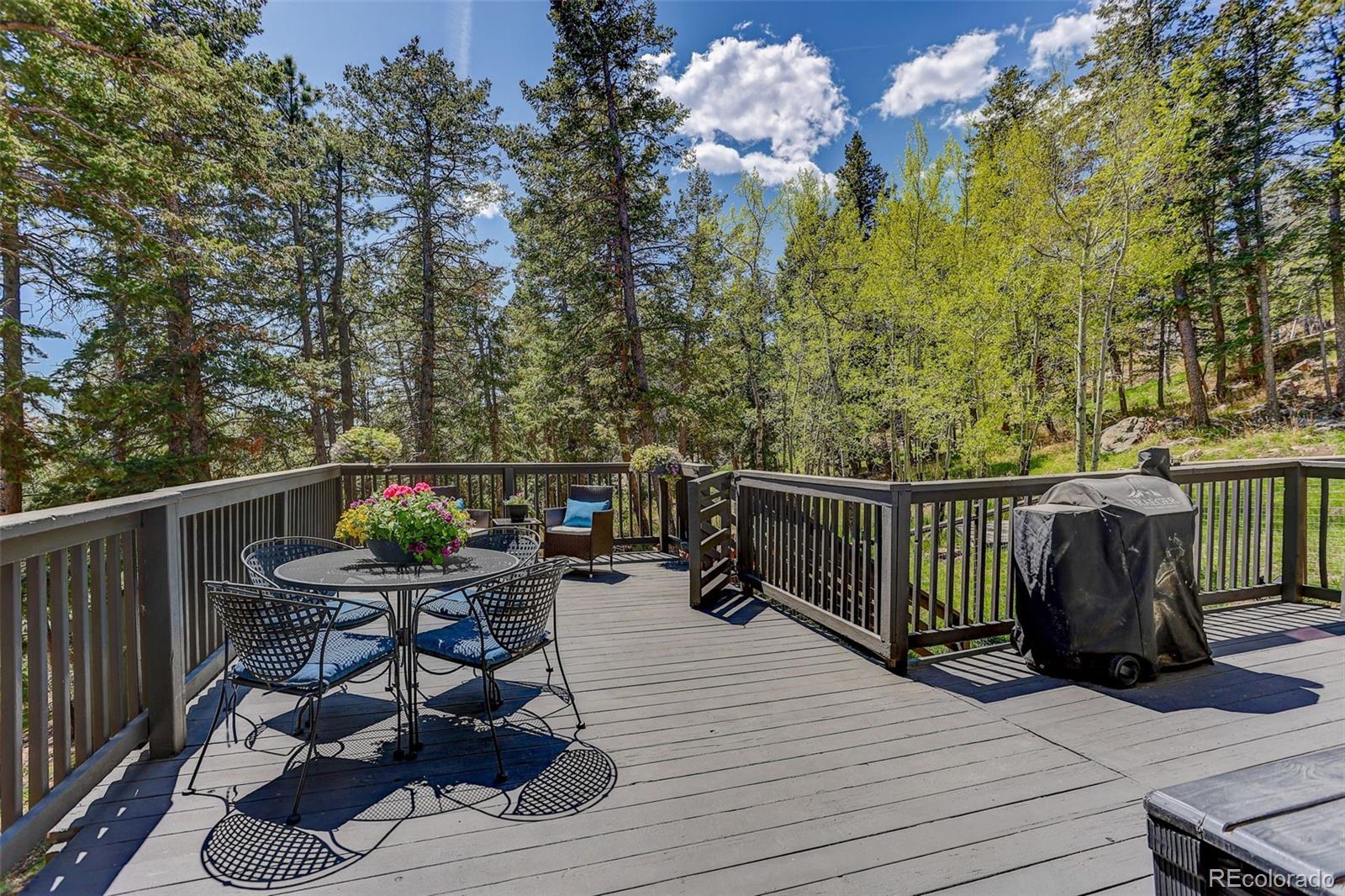 MLS Image #6 for 8515 s doubleheader ranch road,morrison, Colorado