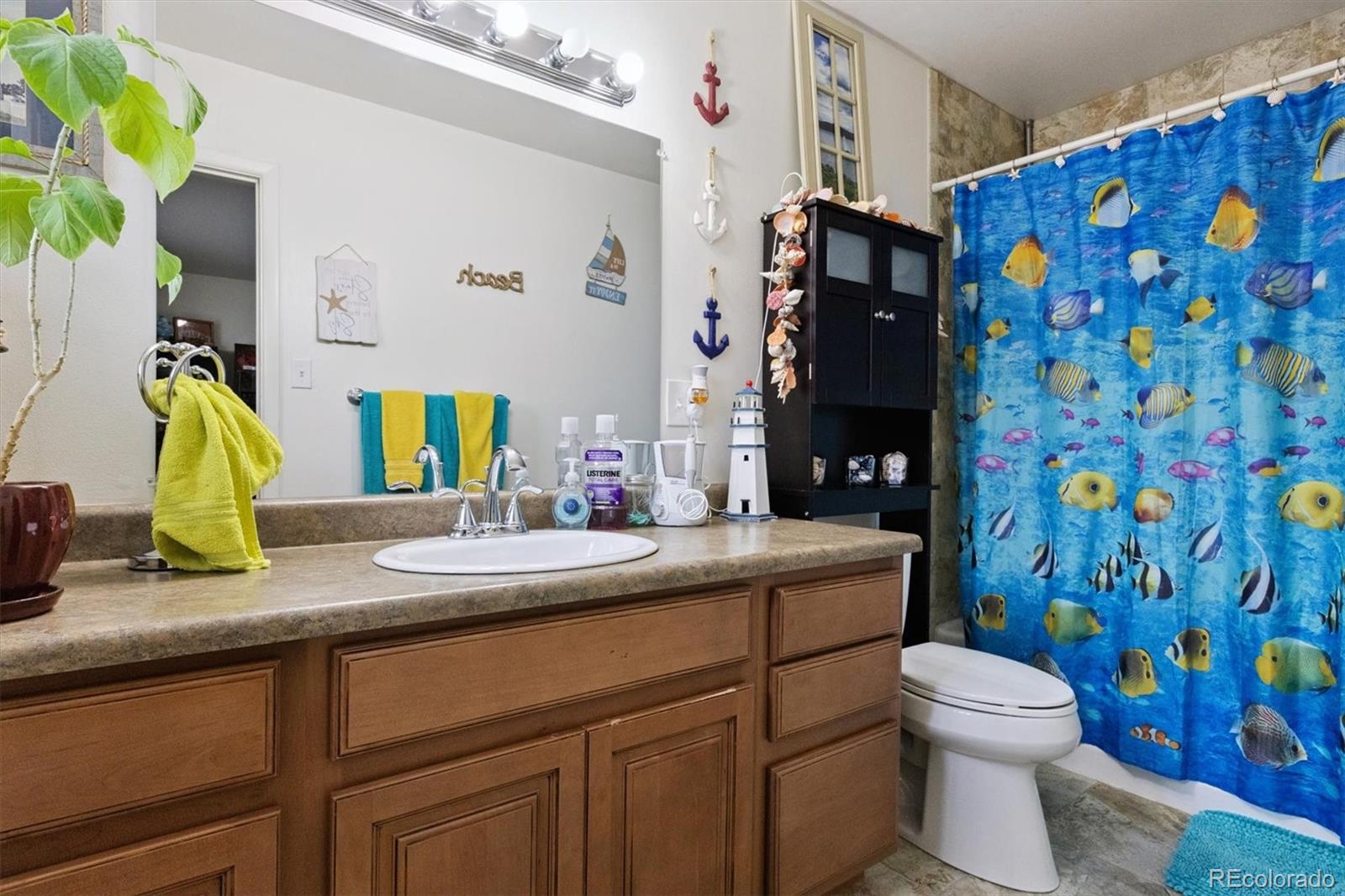 MLS Image #11 for 187  lamar street,lakewood, Colorado