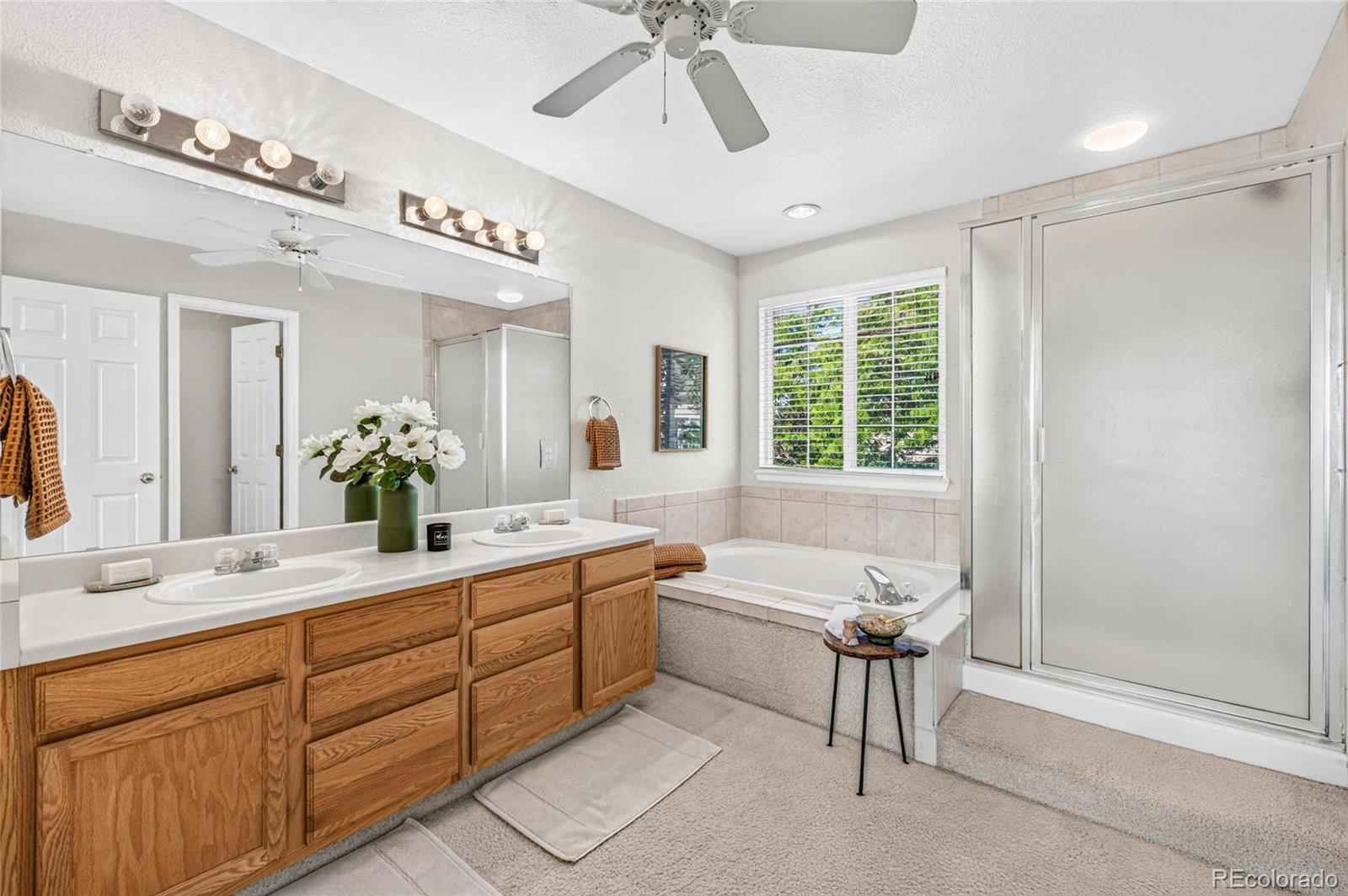 MLS Image #19 for 9873  alabaster court,parker, Colorado