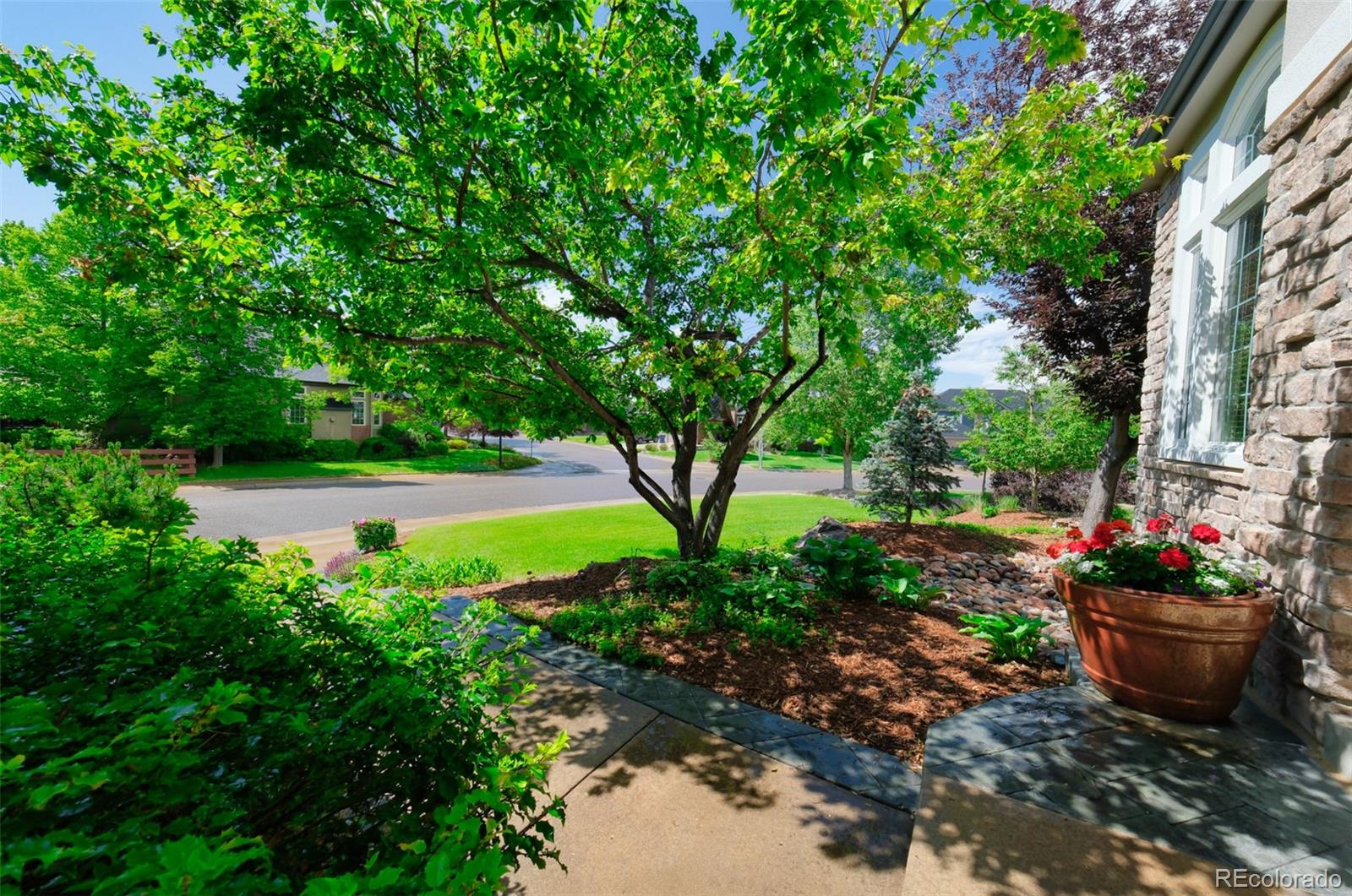 MLS Image #41 for 11002  puma cliff,lone tree, Colorado