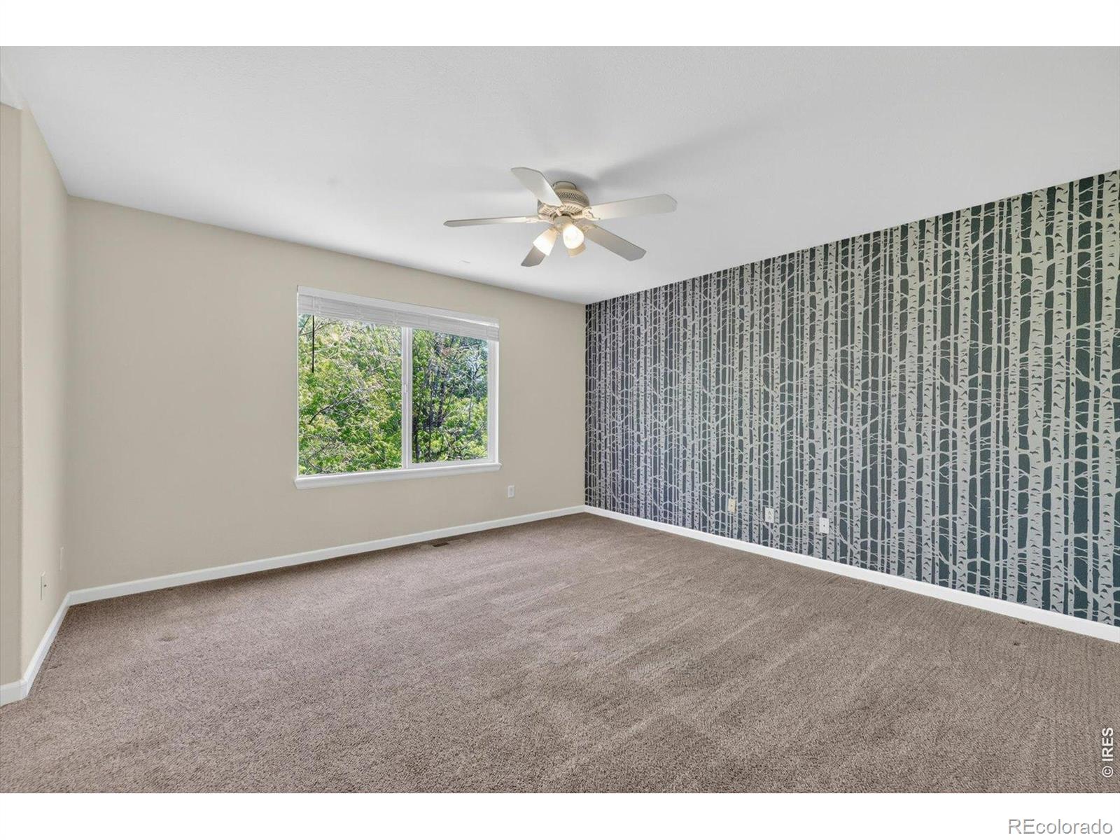 MLS Image #24 for 1106  button rock drive,longmont, Colorado