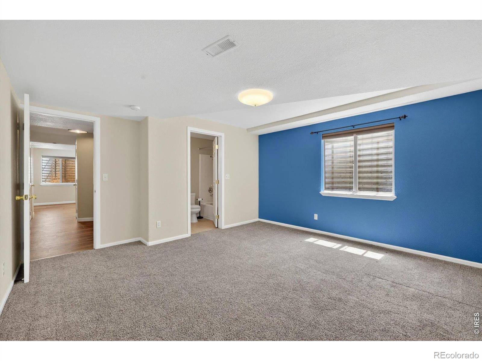 MLS Image #43 for 1106  button rock drive,longmont, Colorado
